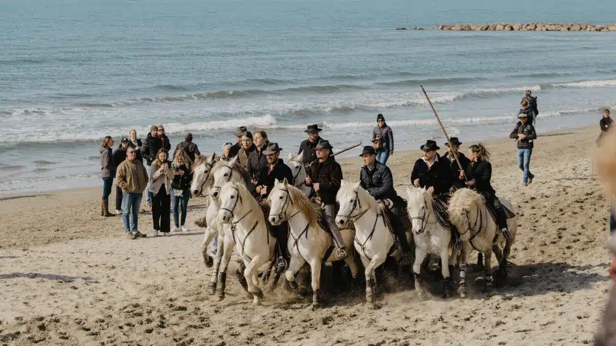 172.Abrivado-des-plages-2023.Christelle-Labrande-Photographe-1200x675