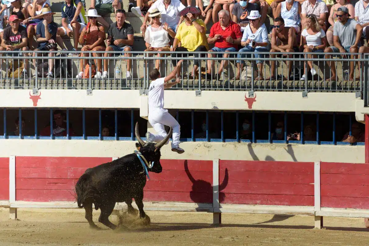 2020-STATION-GRAU-DU-ROI-151-1200x801