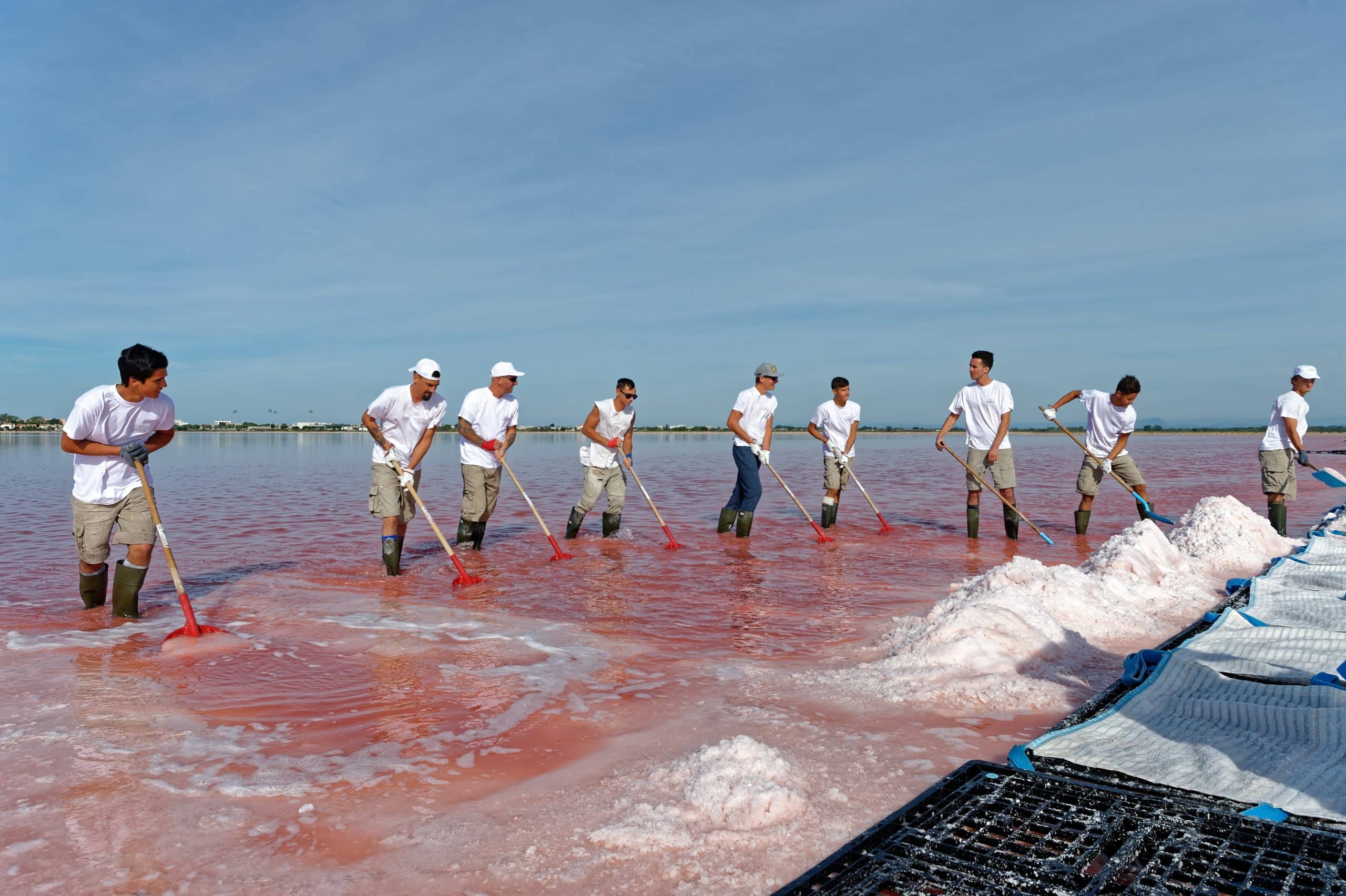 Aigues-Mortes - Salins