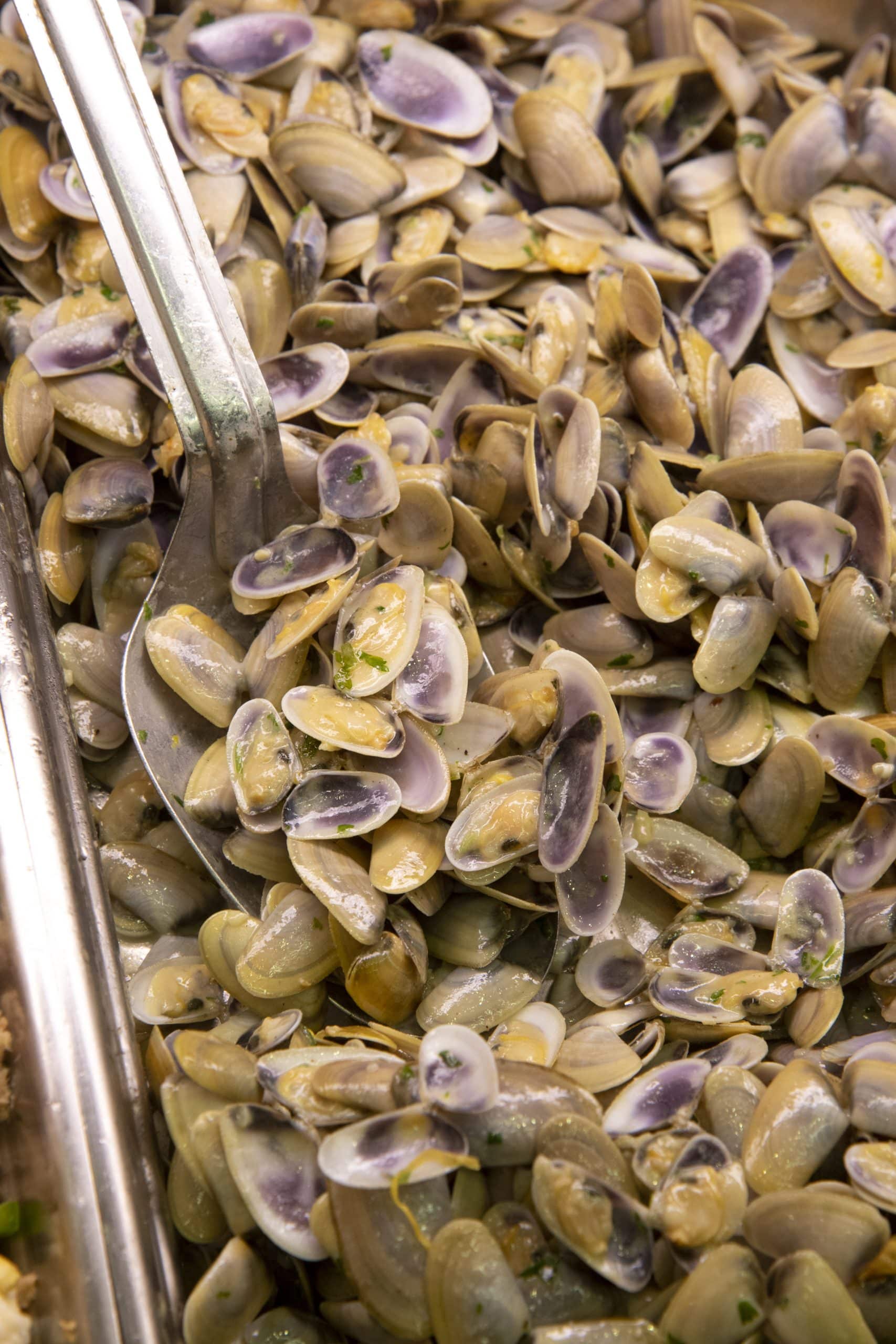 Le Grau du Roi, tellines a la provencale